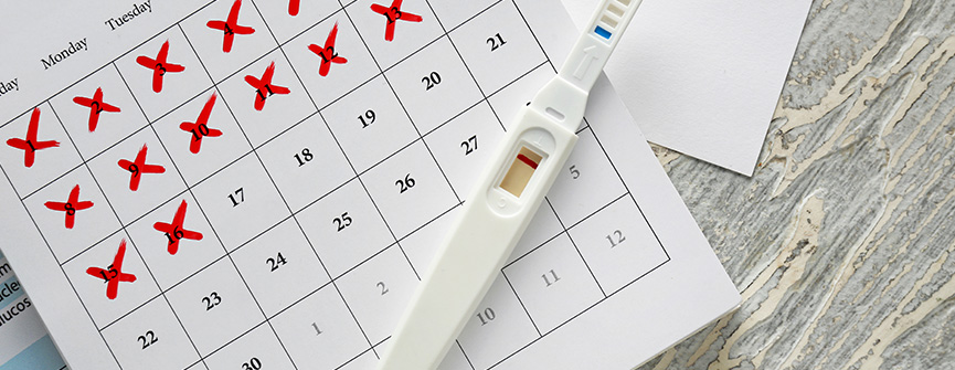 Dni płodne – kiedy mogę zajść w ciążę?